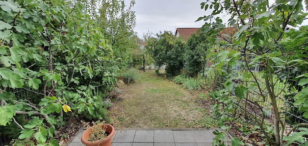 Krause Gartenpflege