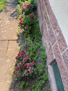 Gartenpflege Hegyi - Ihr Gartenprofi in Karlsruhe und Umgebung
