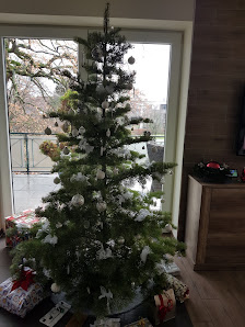 Gärtner Aschhoff Weihnachtsbäume