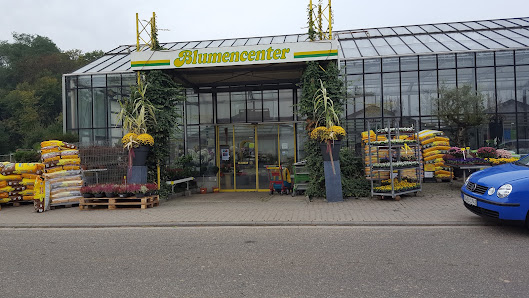 BLUMEN JENNER