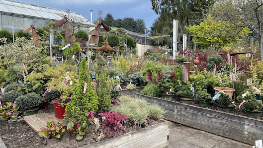 Pflanzenzentrum & Gartengestaltung RÖSCH