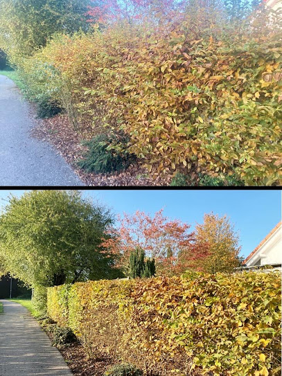Gartenpflege & Hausmeisterservice Ladan Bad Schönborn