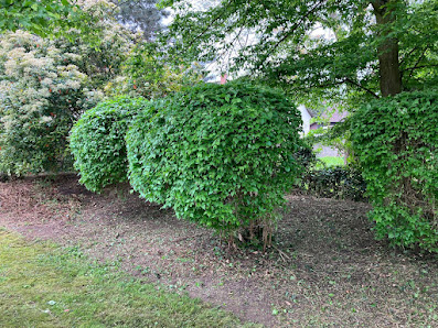 Gartenpflege & Hausmeisterservice Ladan Bad Schönborn