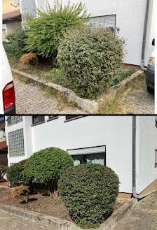 Gartenpflege & Hausmeisterservice Ladan Bad Schönborn