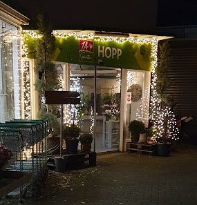 1A Garten Hopp