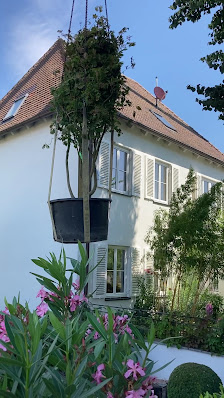 Gartenservice Jungwirth