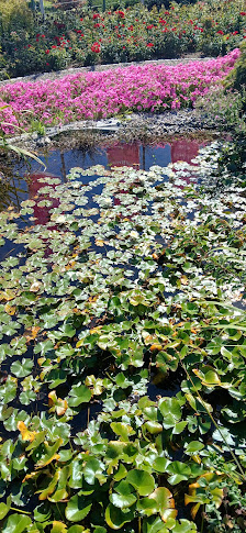 Garten-Land Wohlhüter oHG