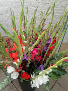 Blumen Franke GmbH