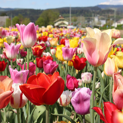 Blumengeschäft