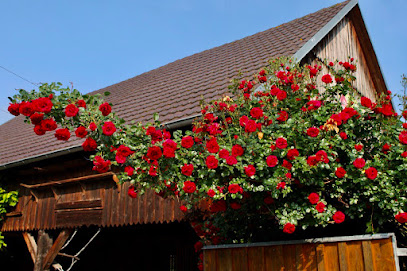 Omars Gardening