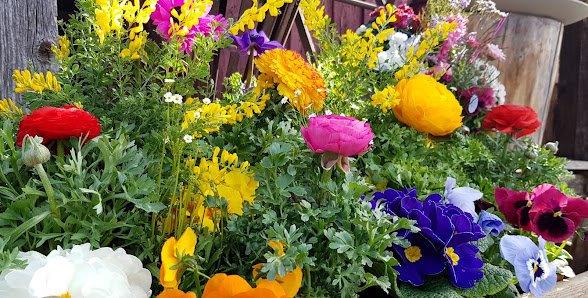Blumen Ellinger