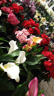 Blumen-Maier GbR