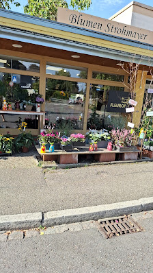 Blumen Strohmayer Margrit Strohmayer