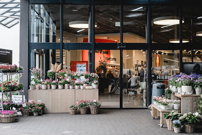 Blumen Eckert - im Hieber's Frische Center Lörrach