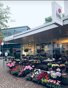 Blumen am Schlössle