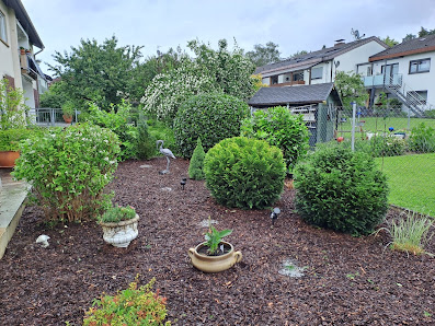 Sempre Verde Gartenbau