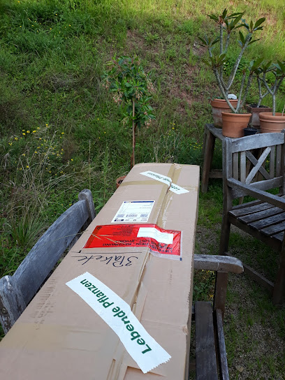 Steinegger Baumschulen und Gartenpark