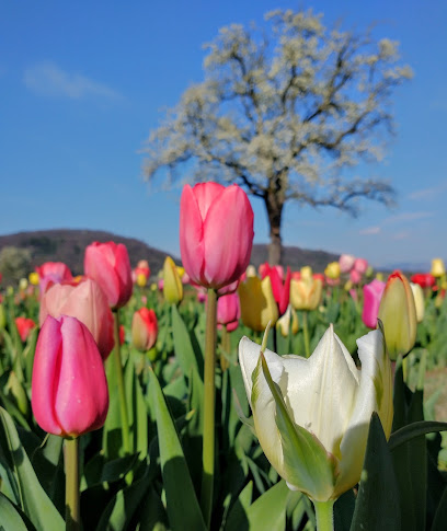 Blumengeschäft