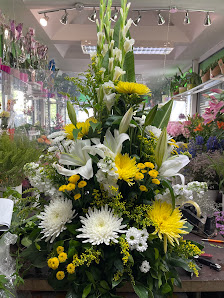 Blumen und Pflanzen