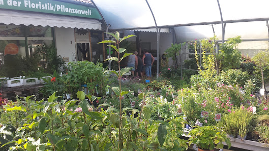 Blumen Lange oHG