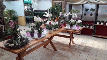 Blumen Lange oHG