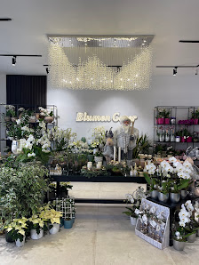 Blumen Gezer