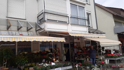 Wernau (Neckar)