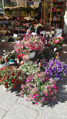 Blumen & Ambiente