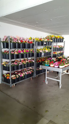 Blumen & Ambiente