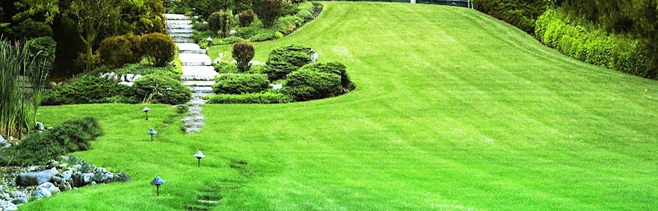 Martin Epple Garten- und Landschaftsbau