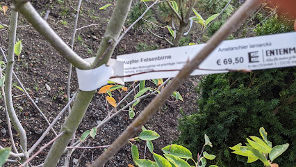Gartenwelt Entenmann