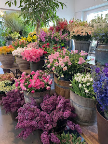 Blumen Cech