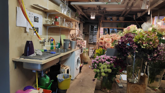 Blumen Ulmer