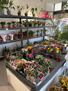 Das Blumenstudio Ay