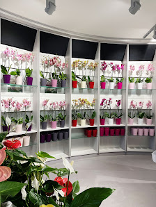 Das Blumenstudio Ay