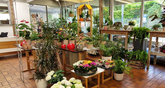 Blumen Liebler