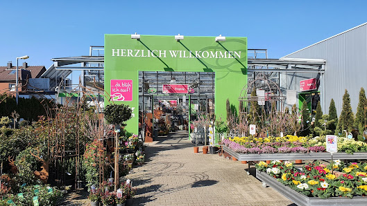 Pfeffer Blumen