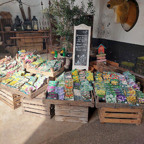 Bloemen Mecking Coesfeld