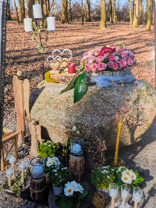 Norbert Trogemann Blumen