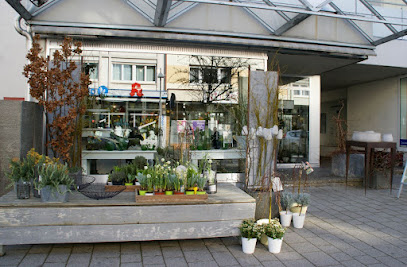 Floralwerkstatt Höfer