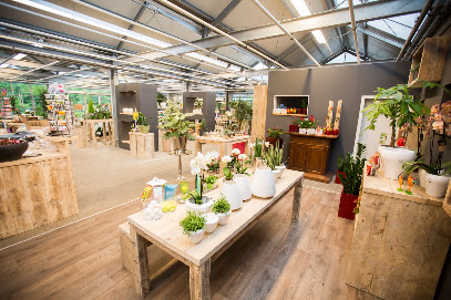 Blumen Fimpeler
