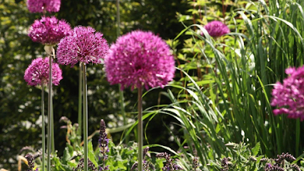 Gartenbauer