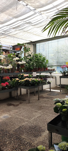 Gärtnerei Blumenhaus Heubach