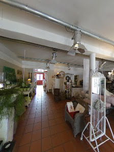 Blumenhaus Thesing