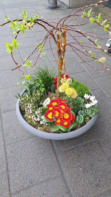 Blumen Pieper
