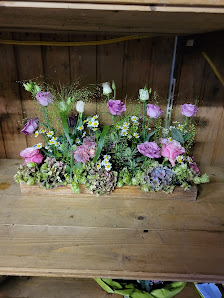 Blumen Ortmann