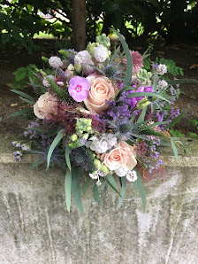 Blumen Wiese | Steinfurt