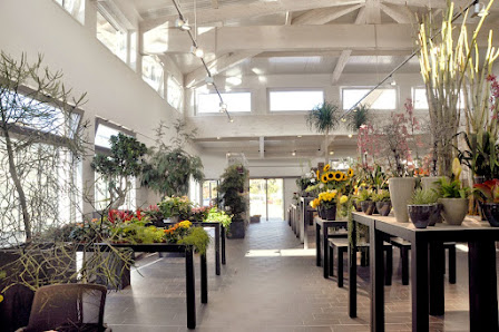 Blumen Konzelmann-Höfer GmbH & Co. KG