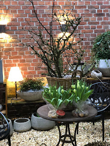 Markus. Florales & Interior