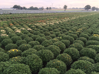 Messing Gartenbau GmbH
